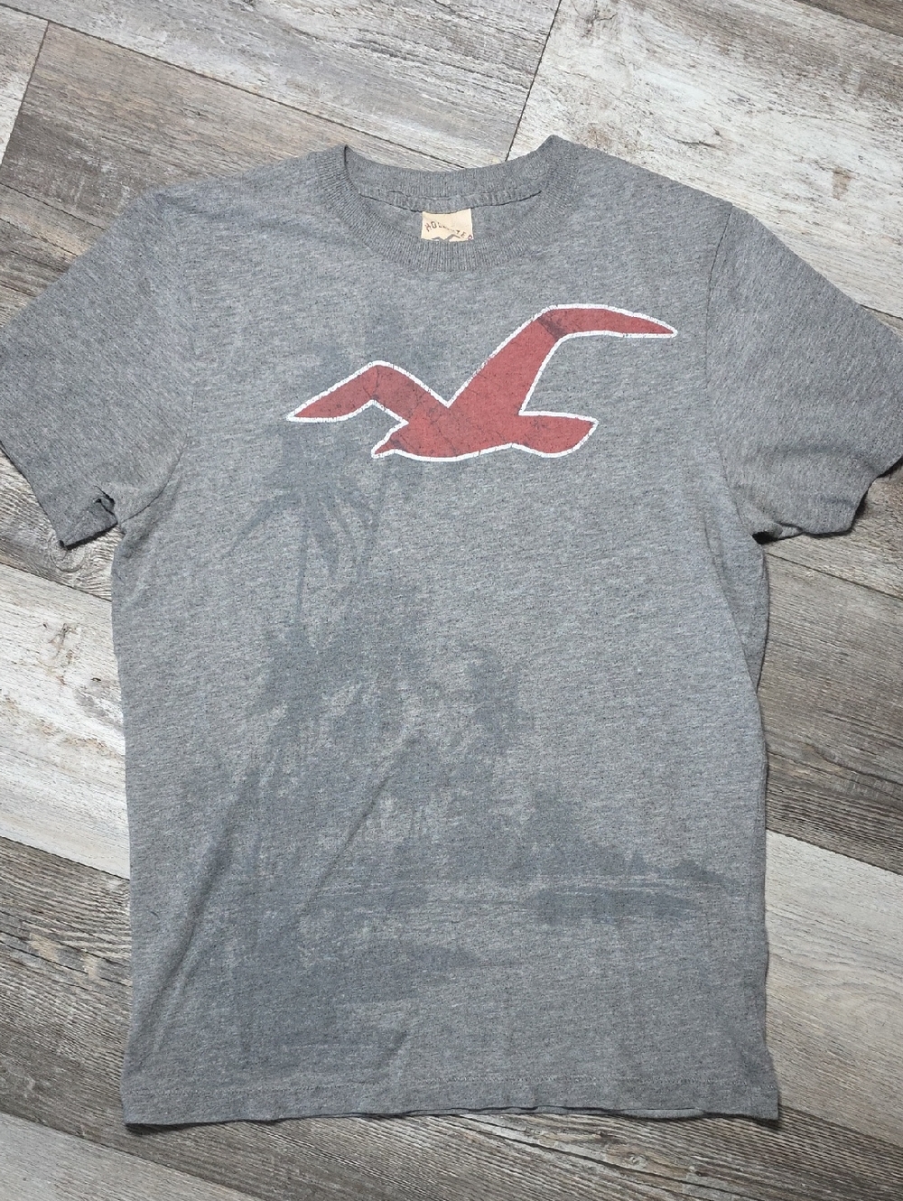 Hollister | Y2K Bird Logo Graphic Tee Shirt Sz Md